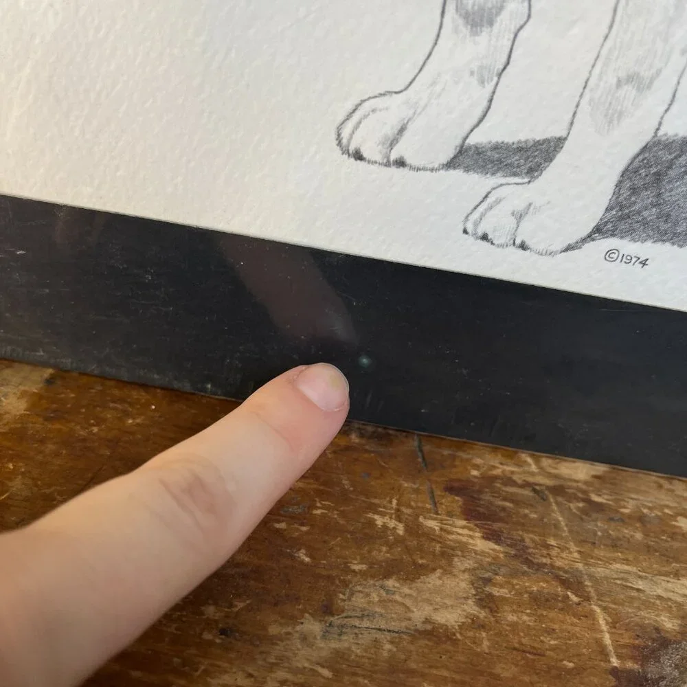 2/$50 🌸 Vintage 1974 Labrador Sketch - Picture 5 of 8